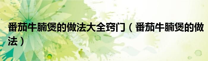 番茄牛腩煲的做法大全窍门(番茄牛腩煲的做法)