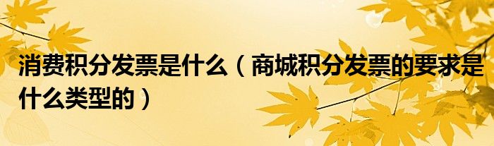 消费积分发票是什么(商城积分发票的要求是什么类型的)
