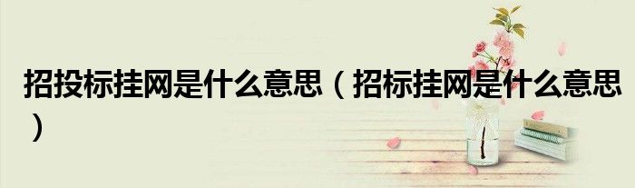 招投标挂网是什么意思(招标挂网是什么意思)