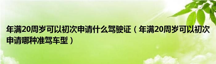 年满20周岁可以初次申请什么驾驶证（年满20周岁可以初次申请哪种准驾车型）