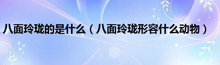 八面玲珑的是什么（八面玲珑形容什么动物）