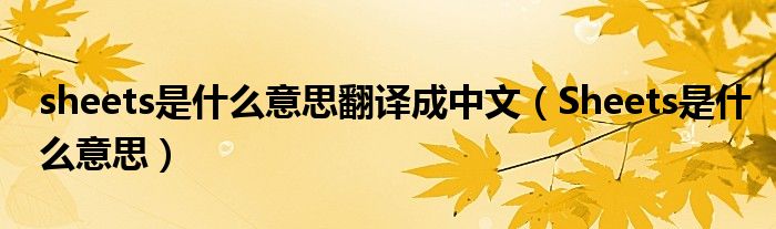 sheets是什么意思翻译成中文（Sheets是什么意思）