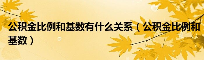 公积金比例和基数有什么关系（公积金比例和基数）