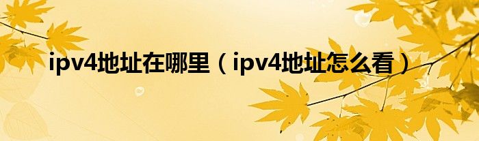 ipv4地址在哪里（ipv4地址怎么看）