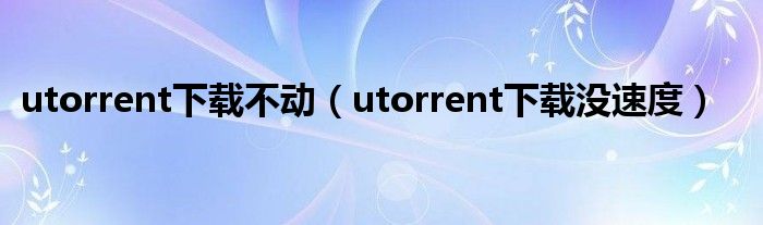 utorrent下载不动（utorrent下载没速度）