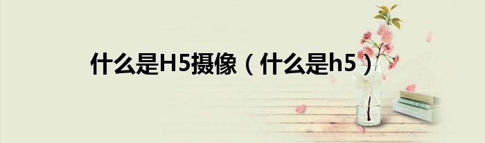 什么是H5摄像（什么是h5）