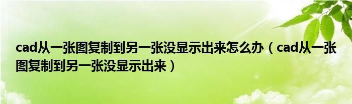 cad从一张图复制到另一张没显示出来怎么办（cad从一张图复制到另一张没显示出来）