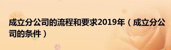 成立分公司的流程和要求2019年（成立分公司的条件）