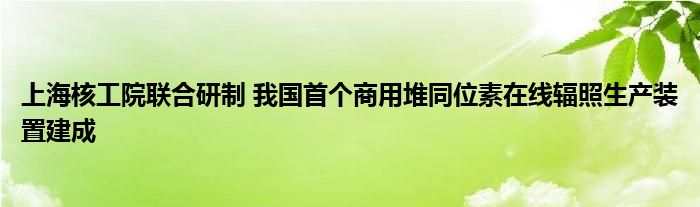 上海核工院联合研制 我国首个商用堆同位素在线辐照生产装置建成