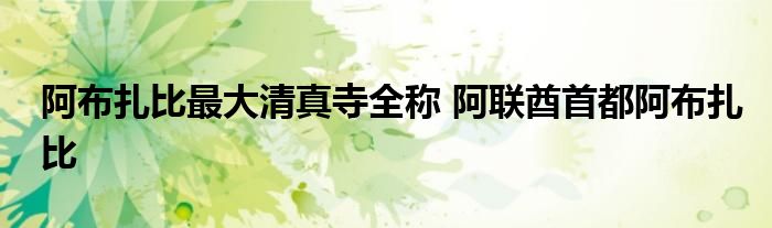 阿布扎比最大清真寺全称 阿联酋首都阿布扎比