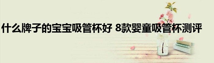 什么牌子的宝宝吸管杯好 8款婴童吸管杯测评