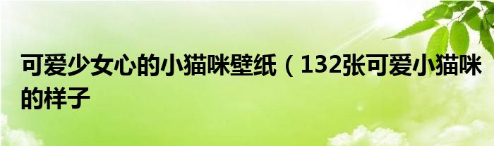 可爱少女心的小猫咪壁纸(132张可爱小猫咪的样子