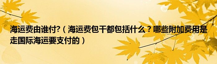 海运费由谁付?(海运费包干都包括什么?哪些附加费用是走国际海运要支付的)
