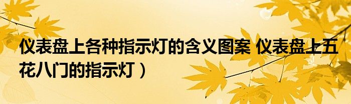 仪表盘上各种指示灯的含义图案 仪表盘上五花八门的指示灯)