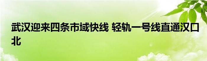 武汉迎来四条市域快线 轻轨一号线直通汉口北