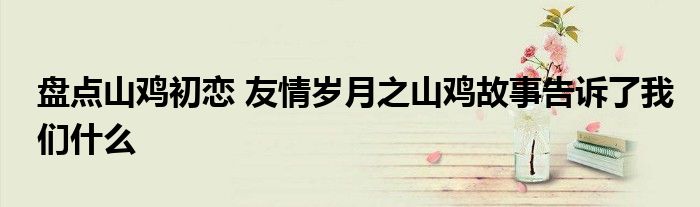盘点山鸡初恋 友情岁月之山鸡故事告诉了我们什么