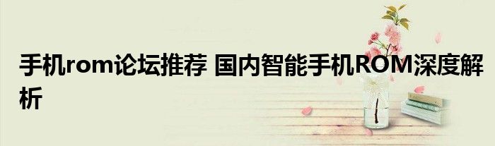 手机rom论坛推荐 国内智能手机ROM深度解析