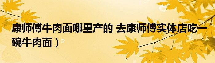 康师傅牛肉面哪里产的 去康师傅实体店吃一碗牛肉面)