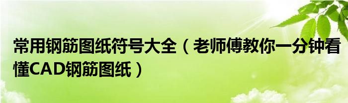 常用钢筋图纸符号大全(老师傅教你一分钟看懂CAD钢筋图纸)