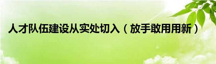 人才队伍建设从实处切入(放手敢用用新)