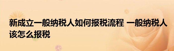 新成立一般纳税人如何报税流程 一般纳税人该怎么报税