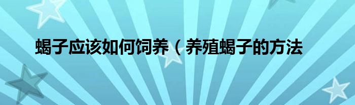 蝎子应该如何饲养(养殖蝎子的方法