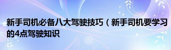 新手司机必备八大驾驶技巧(新手司机要学习的4点驾驶知识