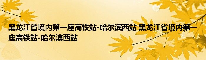 黑龙江省境内第一座高铁站-哈尔滨西站 黑龙江省境内第一座高铁站-哈尔滨西站