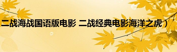 二战海战国语版电影 二战经典电影海洋之虎)