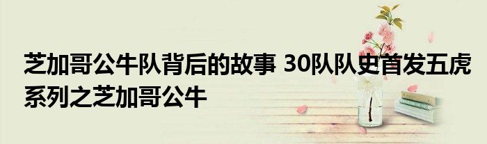 芝加哥公牛队背后的故事 30队队史首发五虎系列之芝加哥公牛