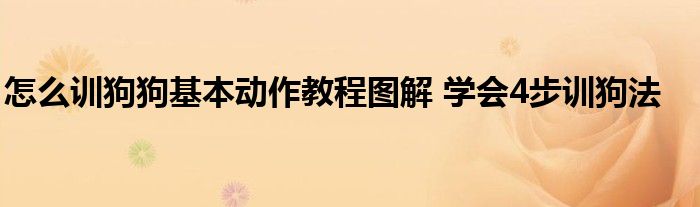 怎么训狗狗基本动作教程图解 学会4步训狗法