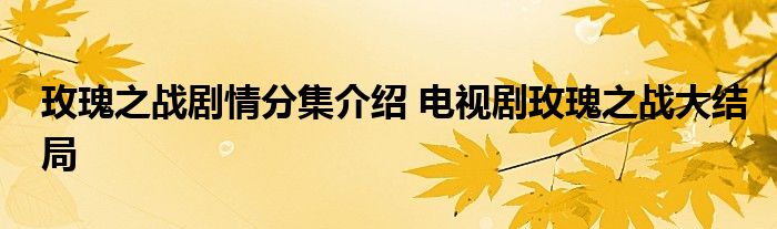 玫瑰之战剧情分集介绍 电视剧玫瑰之战大结局