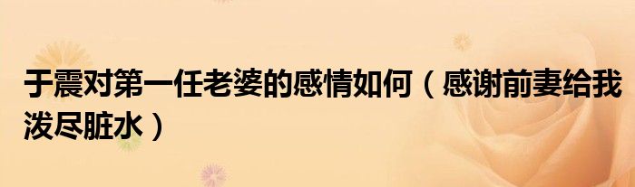 于震对第一任老婆的感情如何(感谢前妻给我泼尽脏水)