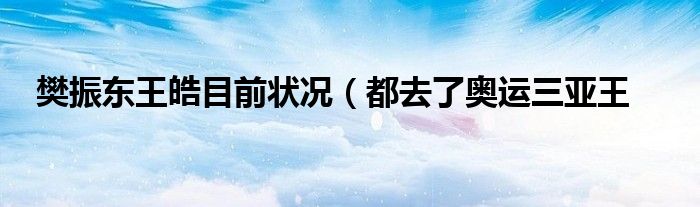樊振东王皓目前状况(都去了奥运三亚王