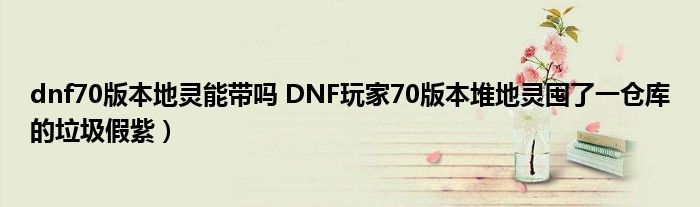 dnf70版本地灵能带吗 DNF玩家70版本堆地灵囤了一仓库的垃圾假紫)