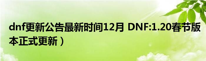 dnf更新公告最新时间12月 DNF:1.20春节版本正式更新)