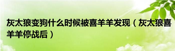 灰太狼变狗什么时候被喜羊羊发现(灰太狼喜羊羊停战后)