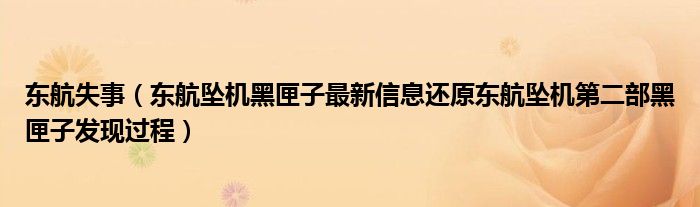 东航失事(东航坠机黑匣子最新信息还原东航坠机第二部黑匣子发现过程)
