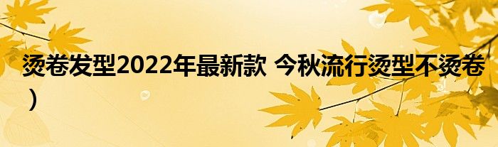 烫卷发型2022年最新款 今秋流行烫型不烫卷)
