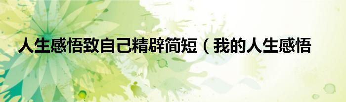 人生感悟致自己精辟简短(我的人生感悟