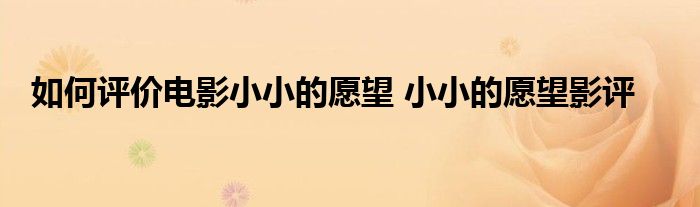 如何评价电影小小的愿望 小小的愿望影评