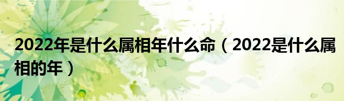 2022年是什么属相年什么命(2022是什么属相的年)