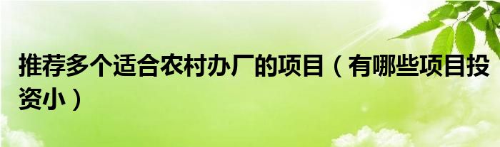 推荐多个适合农村办厂的项目(有哪些项目投资小)