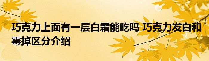 巧克力上面有一层白霜能吃吗 巧克力发白和霉掉区分介绍