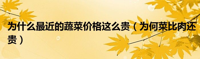 为什么最近的蔬菜价格这么贵(为何菜比肉还贵)