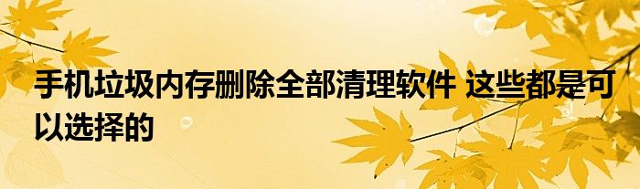 手机垃圾内存删除全部清理软件 这些都是可以选择的