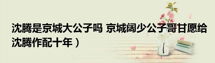 沈腾是京城大公子吗 京城阔少公子哥甘愿给沈腾作配十年)