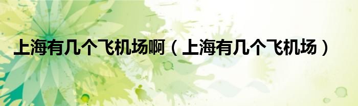 上海有几个飞机场啊(上海有几个飞机场)