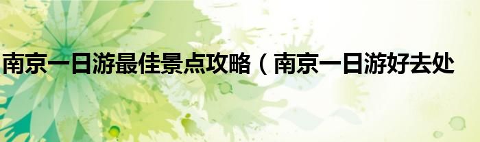 南京一日游最佳景点攻略(南京一日游好去处