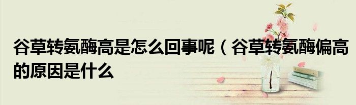 谷草转氨酶高是怎么回事呢(谷草转氨酶偏高的原因是什么
